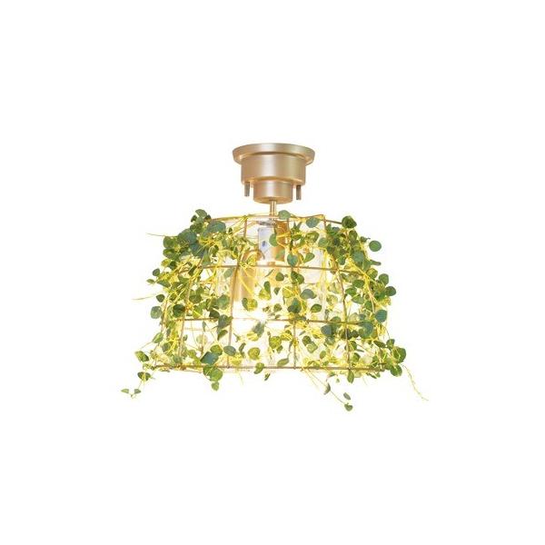 LV} {^jbN yCTG}z V[OCg 3 Fittonia tBbgjA AeB[NS[h TCY:38.5×34cm C