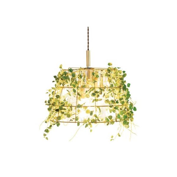 �L�V�} �{�^�j�b�N �yCT�G�}�z �y���_���g���C�g 3�� Fittonia �t�B�b�g�j�A �A���e�B�[�N�S�[���h �T�C�Y:��38.5��×����32.5(�S