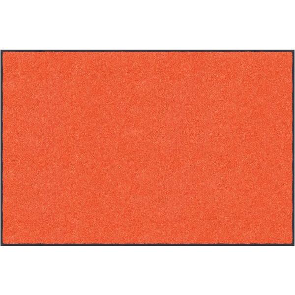 N[ebNXEWp X^_[h}bgS 120x90cm AM00059