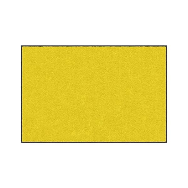 �N���[���e�b�N�X�E�W���p�� �X�^���_�[�h�}�b�gS 150x90cm AM00077
