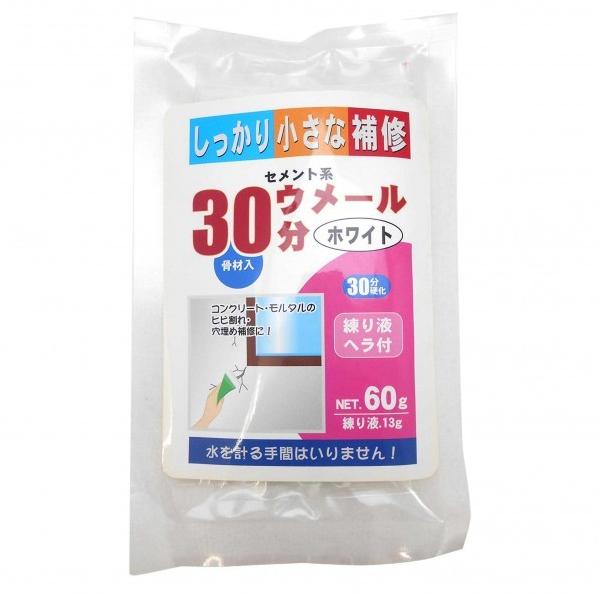 ƒ뉻wH ZgnE[30 zCg 60 5928200