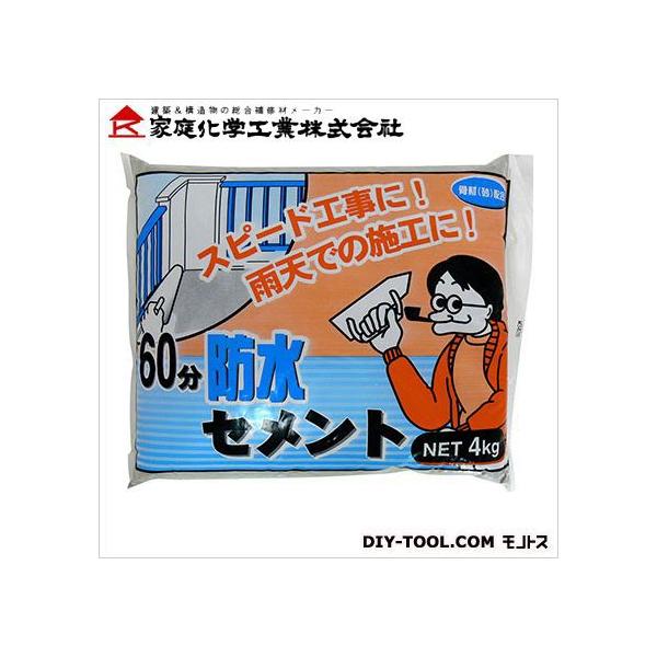 ƒ뉻wH 60hZg O[ 4kg 3590214000