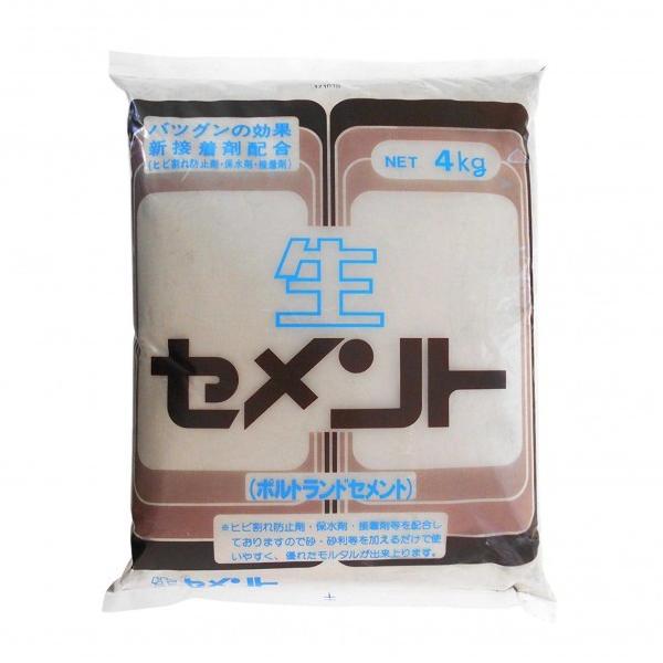 ƒ뉻wH Zg O[ 4kg 3590294000