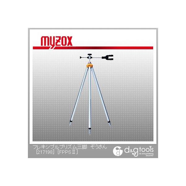 }C]bNX tLVuvYOr[217198]P[Xt FPPSII 0