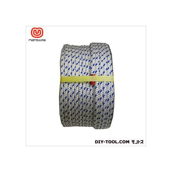 ܂H pC_uR[hh  10mm×100m PP-WCORD-10X100-DR 1