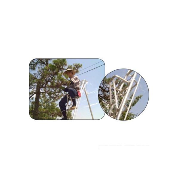 �~�c�� �A���~�O�r�p�⏕�֎q