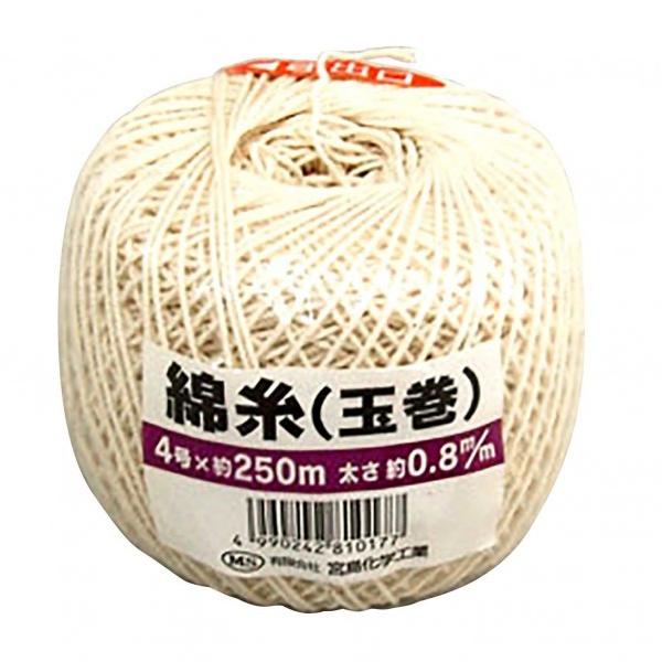 �{�����w �Ȏ�(�ʊ�) ���� ��0.8mm×����250m Y008 1�� 0