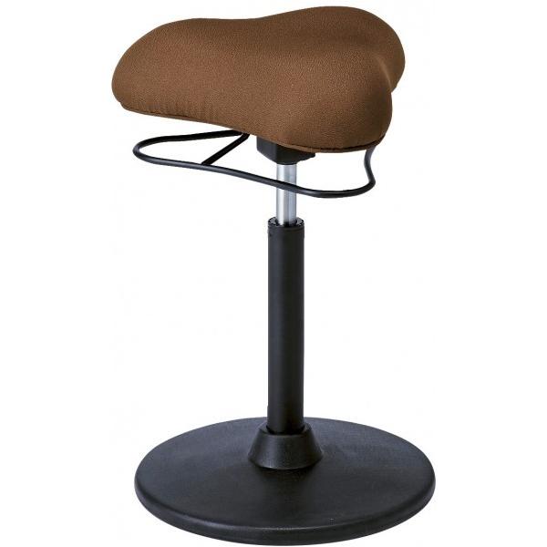 {쏊 v|[VXc[(nC^Cv)pX΃Xc[ uE CH-800H