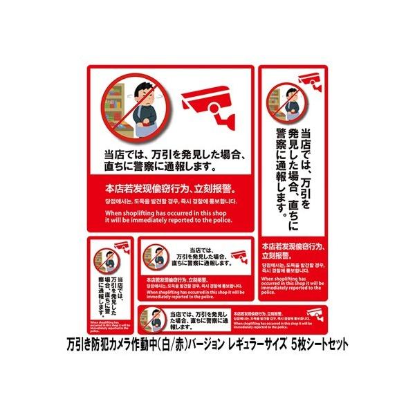 TVEgCfBOEItBX hƃXebJ[ hƃJ쓮 / SS-005L 5