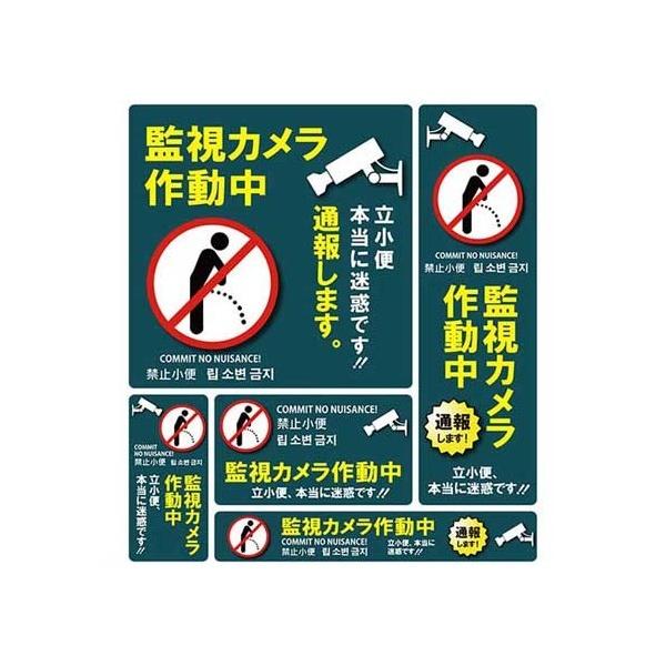 TVEgCfBOEItBX hƃXebJ[ ֊ĎJ쓮 / SS-008L 5