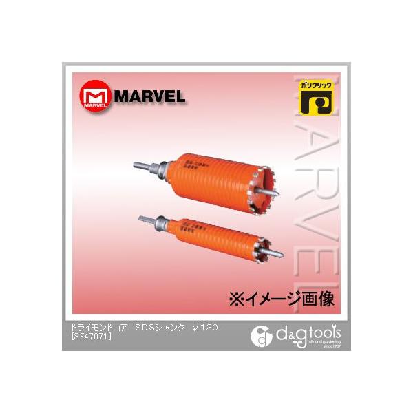 �}�[�x�� �h���C�����h�R�ASDS�V�����N ��120 SE47071