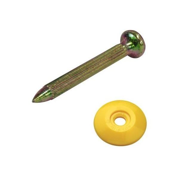 BeHAUS RmG lCZbg  No.1S