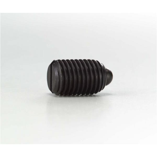 【入数】 1点 PPB05