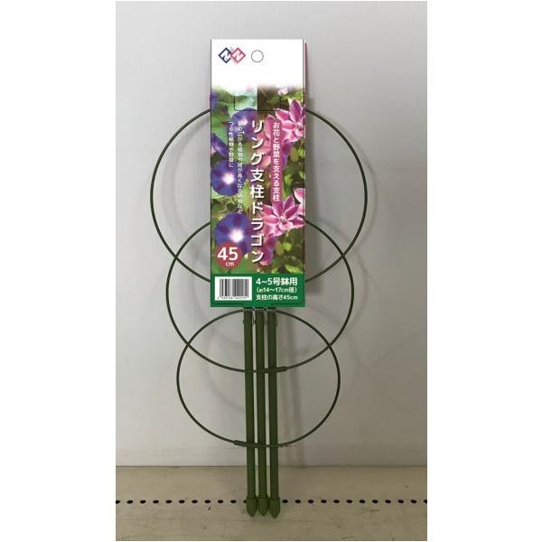 Nichiryu&amp;Nature j`E ԎxhS