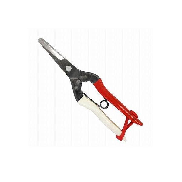 P ʔK|͂ݍ̎ 195mm 306