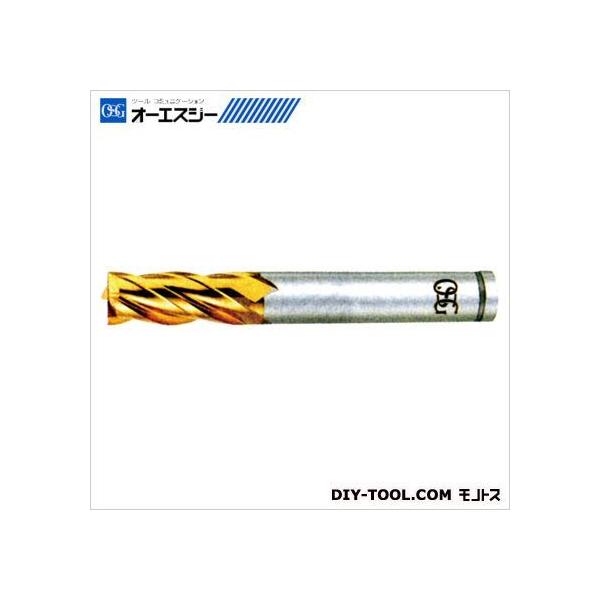 OSG Gh~88208 EX-TIN-EMS 4