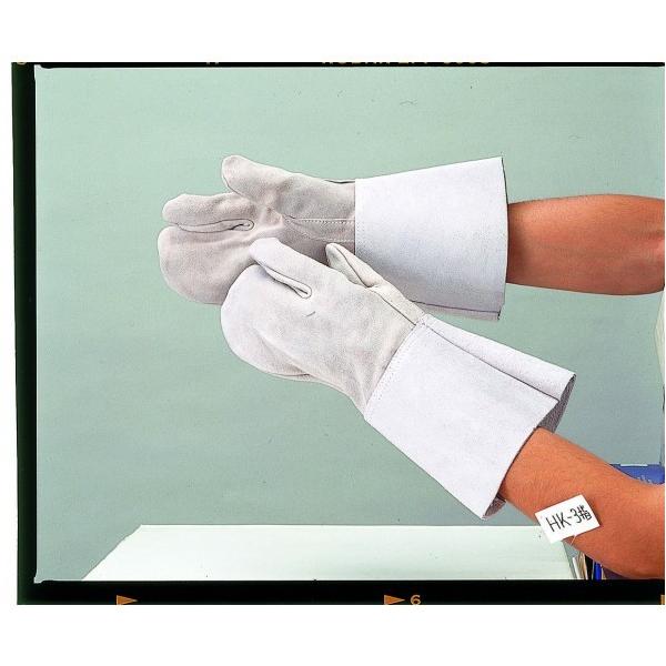 ӂ v 3{w nڗp HK-3 t[TCY 461