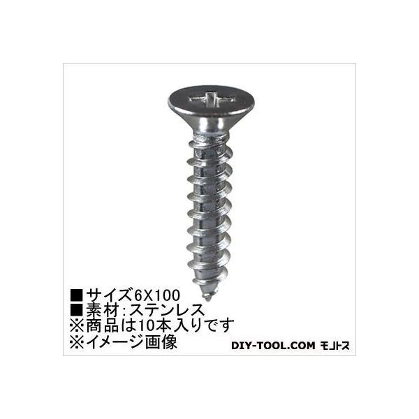 �嗢 �^�b�s���O�r�X(�X�e��) �M�� 6×100 HP-999 10�{