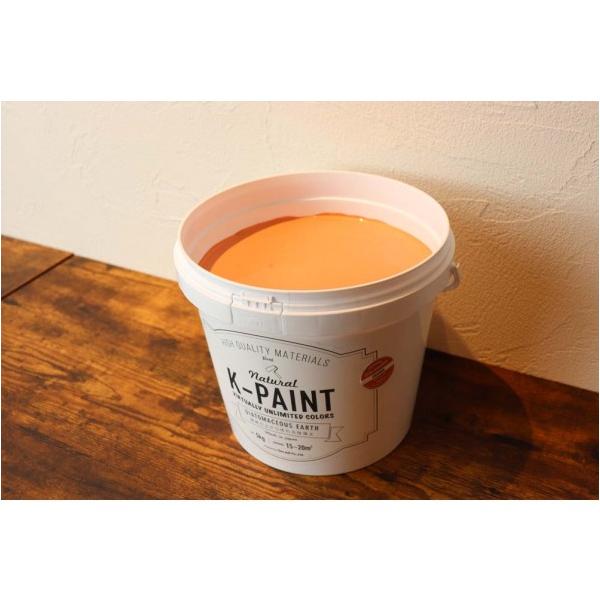EB K-PAINT ]yh IW 5kg