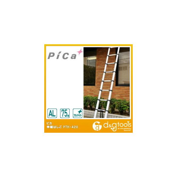 �s�J �L�k�͂��� PTH-S420J