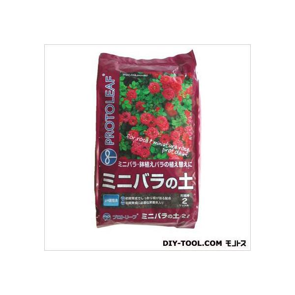 vg[t ~jo̓y 2L 15×26×4cm