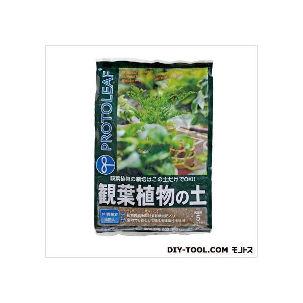 vg[t ϗtA̓y 5L 24×36×6cm