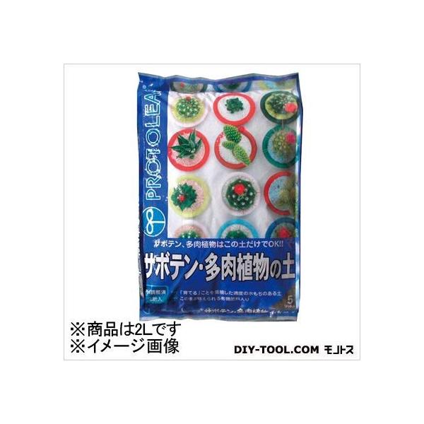 vg[t T{eA̓y 2L 15×26×4cm