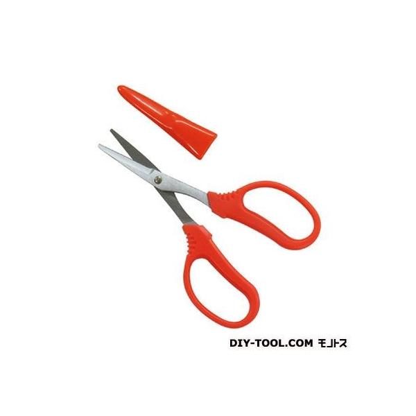 SOUTHERN CROSS Ntg͂ bh C-125 1_