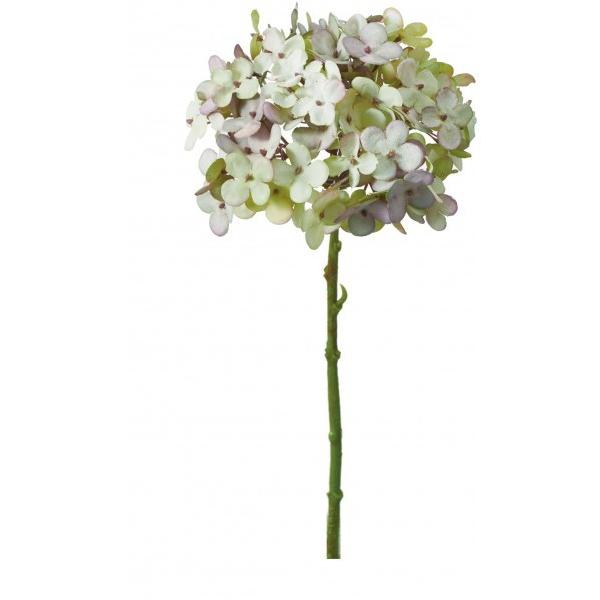 |s[ hCAWTC GR FA -7084