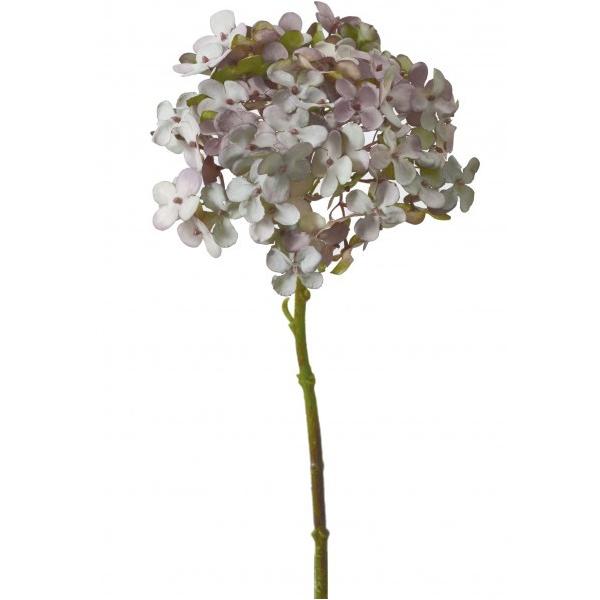 |s[ hCAWTC GRY FA -7084