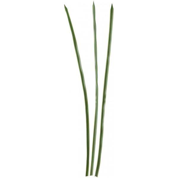 |s[ \[hO[tX3 GR FG -4847