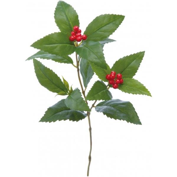 |s[ ZE R FS -5253 1{