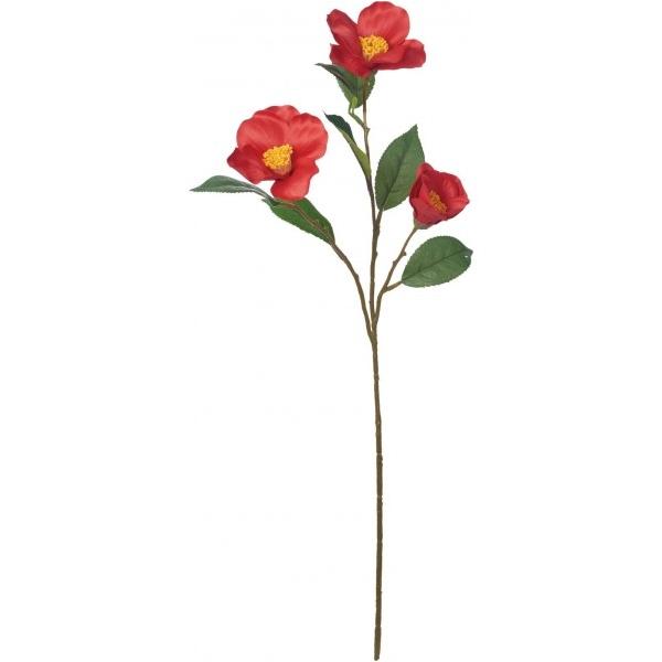 |s[ coLXv[ R FS -5321