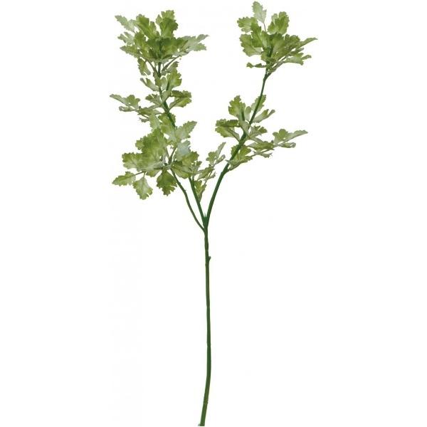 �|�s�[ �p�Z�� GR �֗��O�b�Y�i����EOA�@��j FG -4803