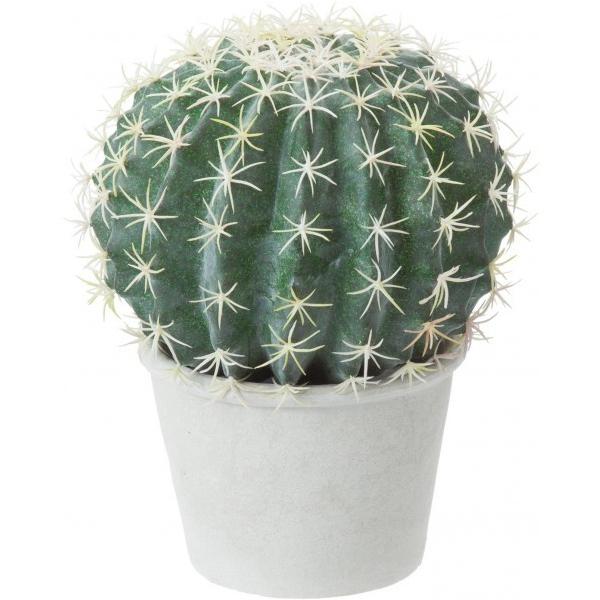 �|�s�[ �{�[���T�{�e���|�b�g GR �֗��O�b�Y�i����EOA�@��j GLA-1430