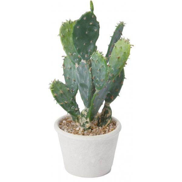 �|�s�[ �I�v���e�B�A�|�b�g GR �֗��O�b�Y�i����EOA�@��j GLA-1433