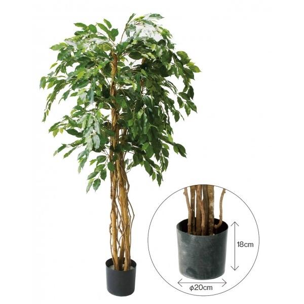 �|�s�[ �x���W���~���g���v���o�C��1.8M �֗��O�b�Y�i����EOA�@��j GLP-1190