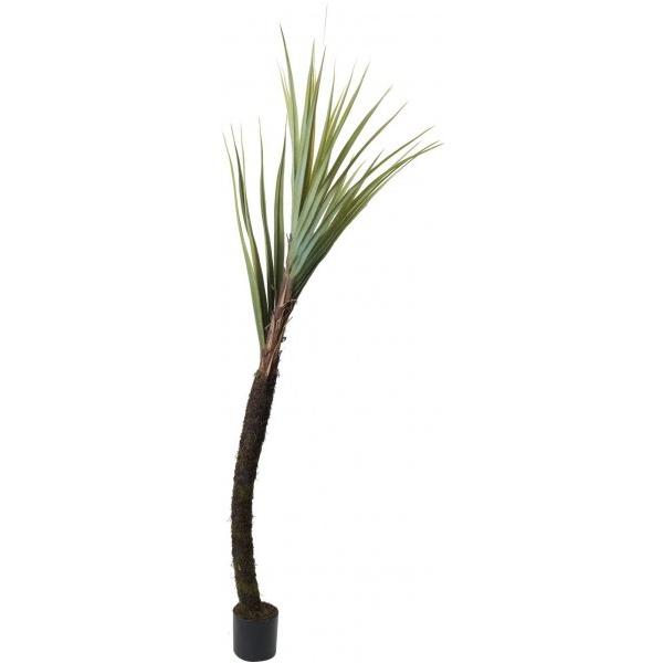 �|�s�[ �p���_�i�X 240cm GLP-1492