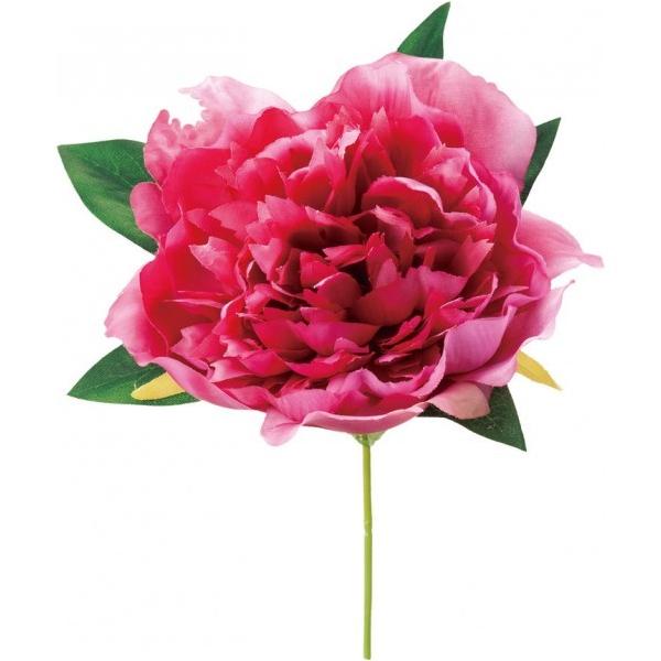 �|�s�[ �s�I�j�[�s�b�N BTY �S��50cm�E�t��2.5�`5cm FA -7258