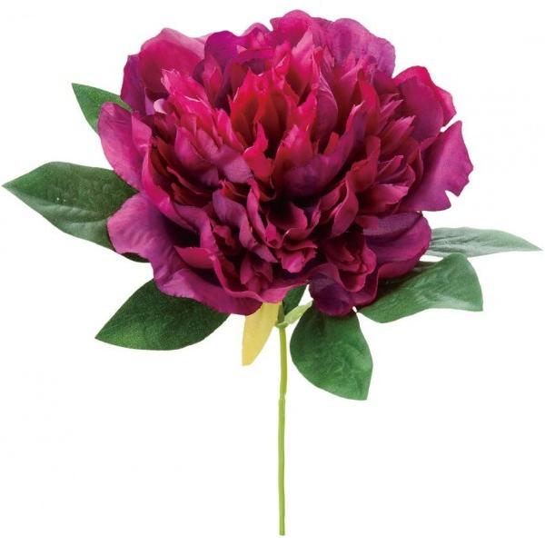 �|�s�[ �s�I�j�[�s�b�N PU �S��50cm�E�t��2.5�`5cm FA -7258