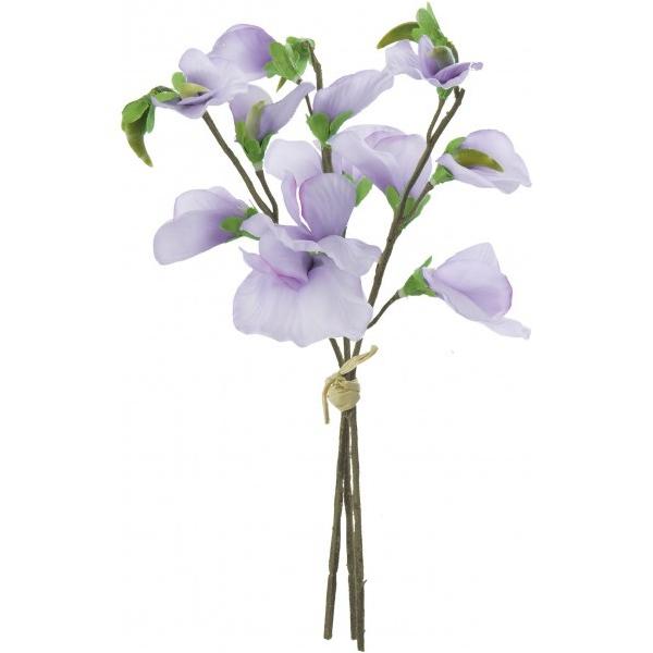 �|�s�[ �X�C�[�g�s�[�o���` LAV �S��22cm�E�Ԍa3�`5cm FS -7796