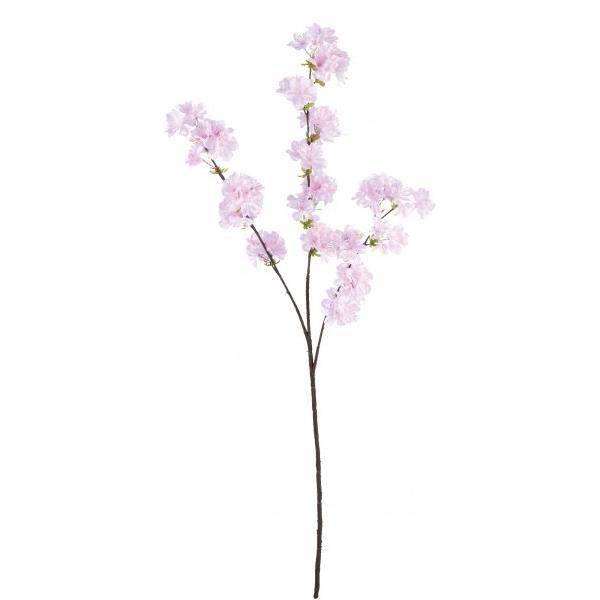 �|�s�[ �T�N���I�I�G�_ P �S��90cm�E�Ԍa3�`4cm FS -7885