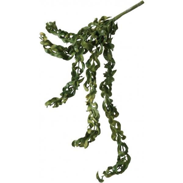 |s[ GXLiTXnK[ GL -5261GR