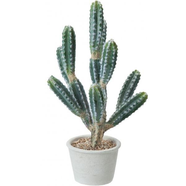 �|�s�[ �J�N�^�X�|�b�g GLA-1447GR