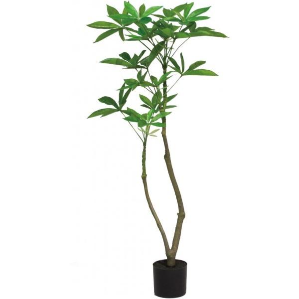 �|�s�[ 120CM�p�L���|�b�g GLA-1477GR