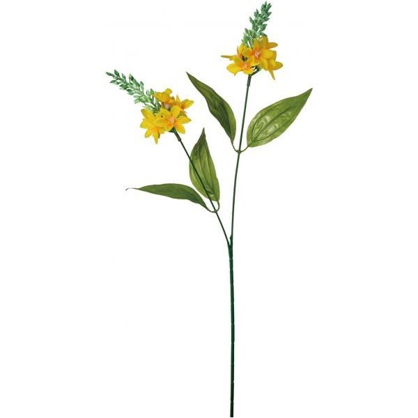 花オーニソガラムの価格と最安値 おすすめ通販を激安で