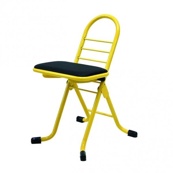 ���@�l��p�i�����l�Z�C�R�E �v�����[�N�`�F�A �~�j �C�G���[ 420x440x650mm PW-100