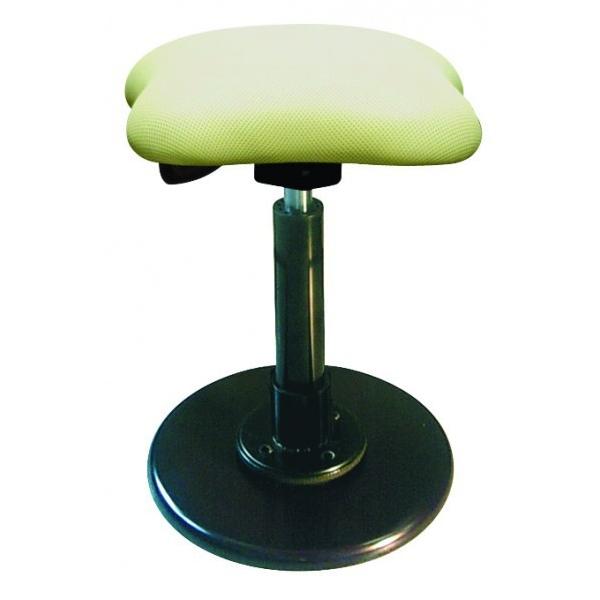 ���@�l��p�i�����l�Z�C�R�E �c�C�X�g�X�c�[�����t���V�A3 �A�C�{���[ 330x330x495-685mm TWS-190/12 1�_