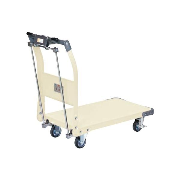 �T�J�G �����l�֎� 855×480×874mm �A�C�{���[ TAN-22HBI 1��y2512DFD_5�z