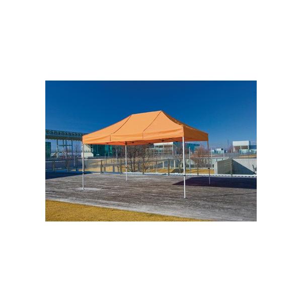 @lpiR[|[V 񂽂ĂƂR(I[A~t[)  3.0m×4.5m KA^7WA 1